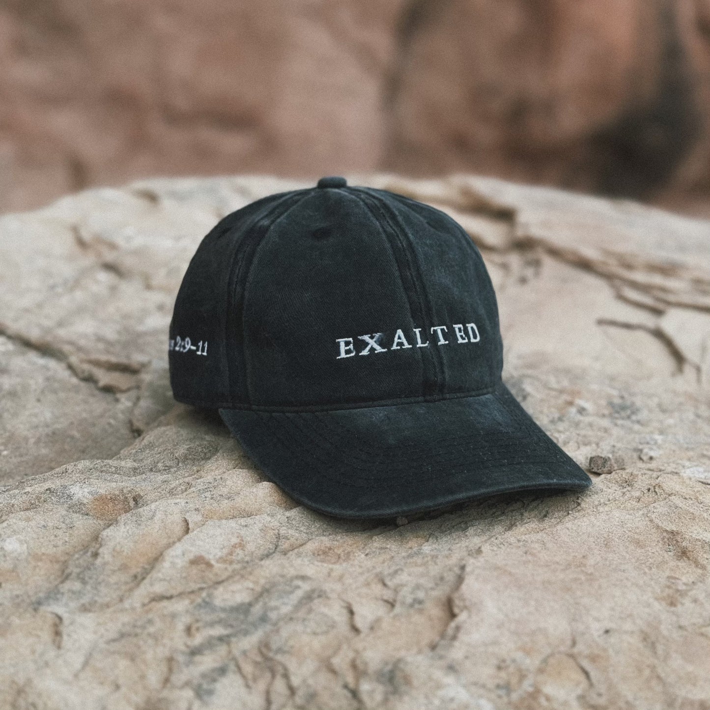 EXLTD Hat